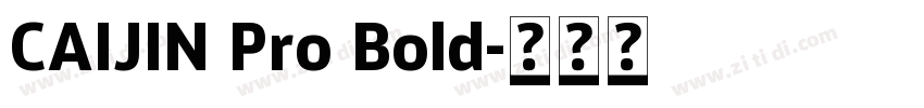 CAIJIN Pro Bold字体转换